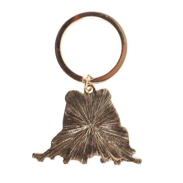 Lucky Frog Keyring Lucky Frog Keyring