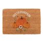 Natural Autumn Days Hello Pumpkin Doormat