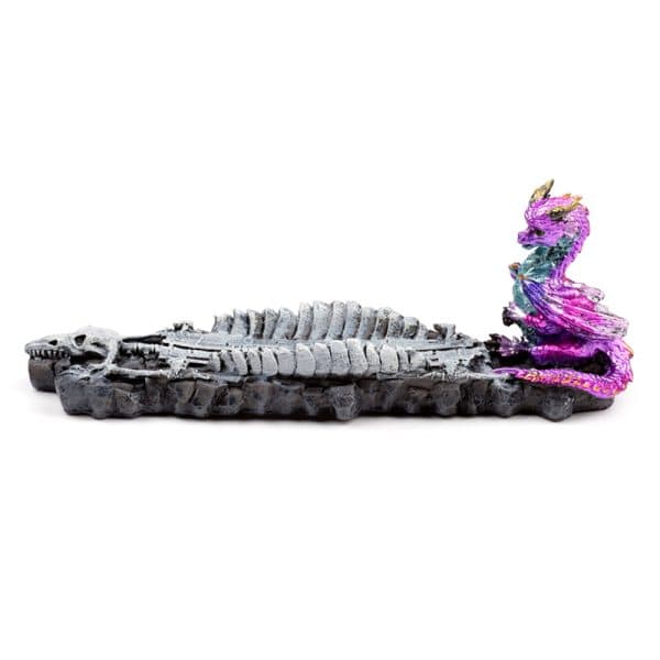 Ashcatcher Incense Burner - Elements Baby Dragon Skeleton DRG552 - Image 3
