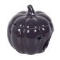 The Magic Is in You Pumpkin Oil Burner